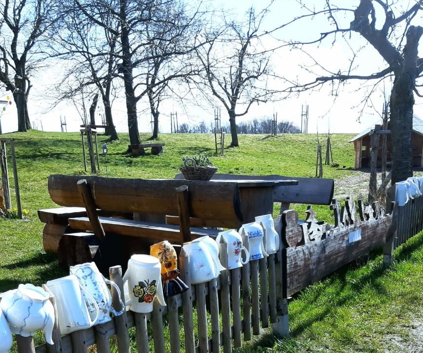 Blütenwanderung ins Schönfelder Hochland am Sa, 7. Mai